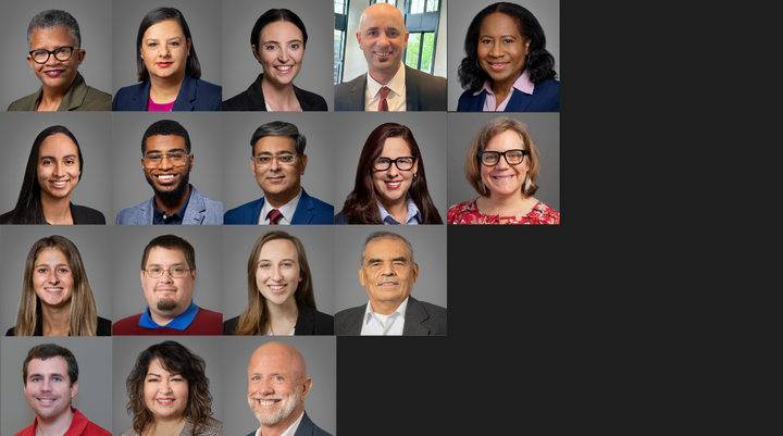 SDP MSI Fellows