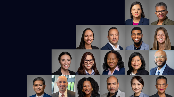 MSI Fellows