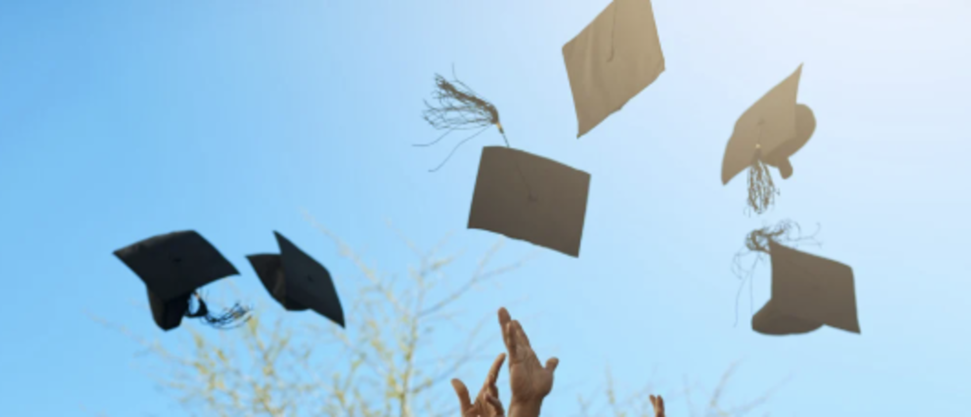 Graduation Cap